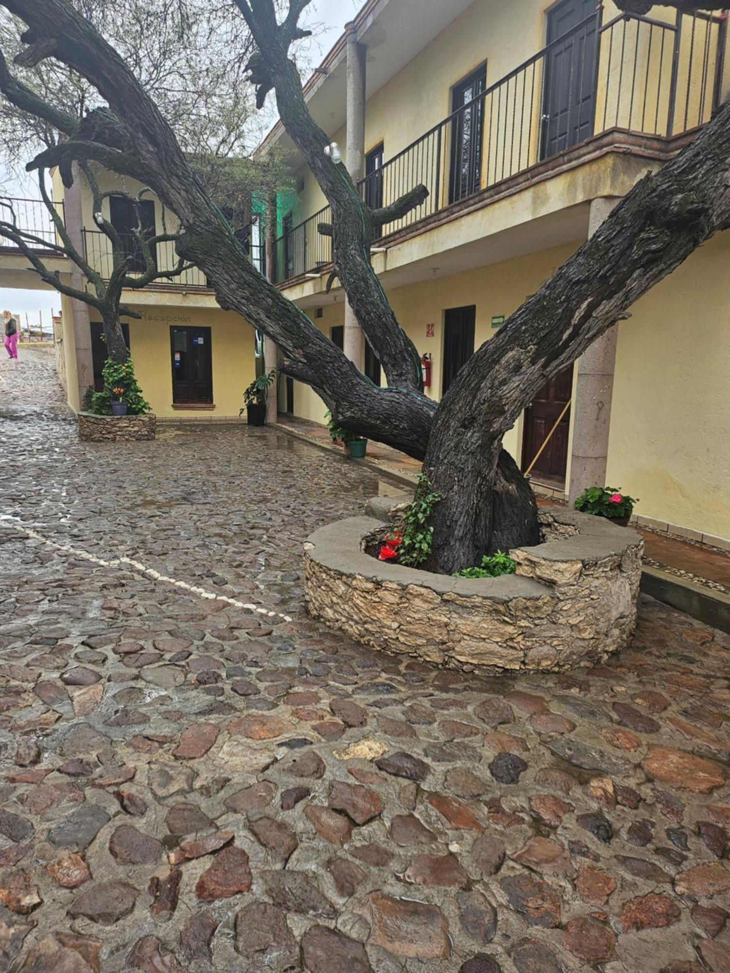 Hotel Villa Aurora Бернал Екстериор снимка